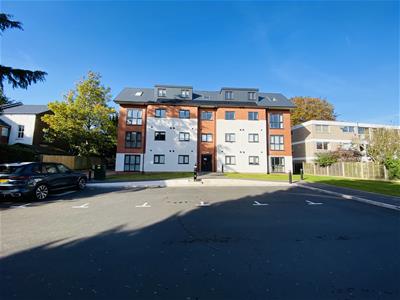 Picture 9